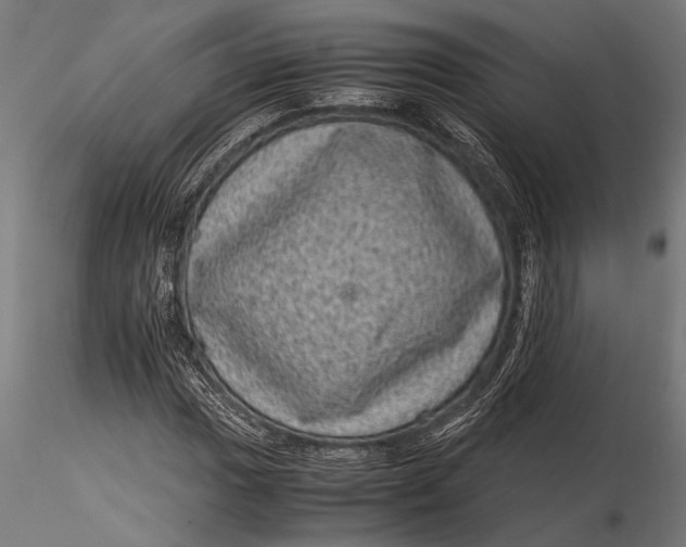 X0000116101017200912140952