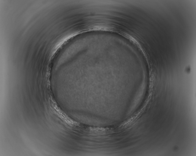 X0000116101019200912140952