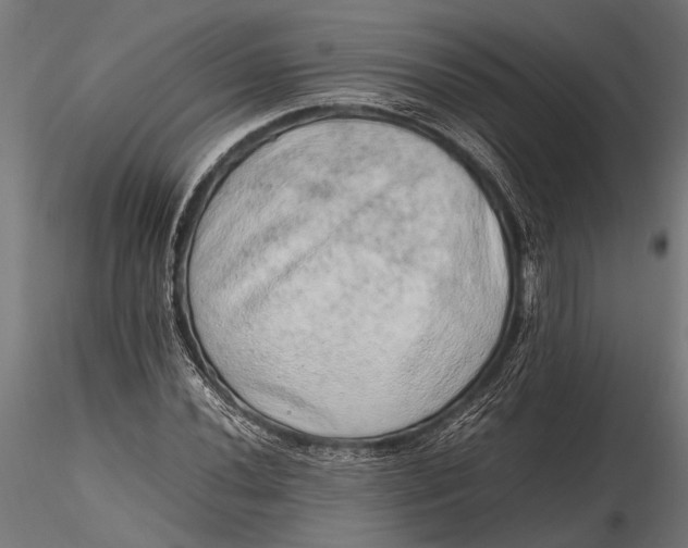 X0000116101020200912140952