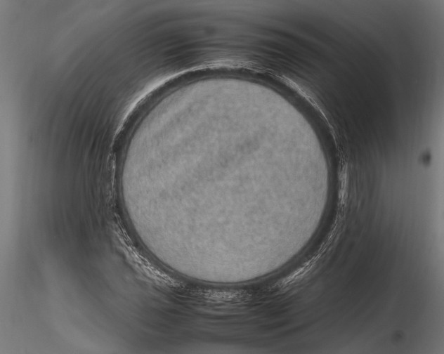 X0000116101021200912140952