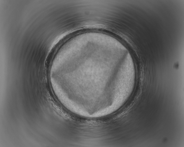 X0000116101022200912140952