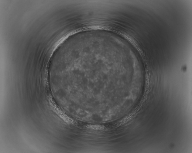 X0000116101023200912140952