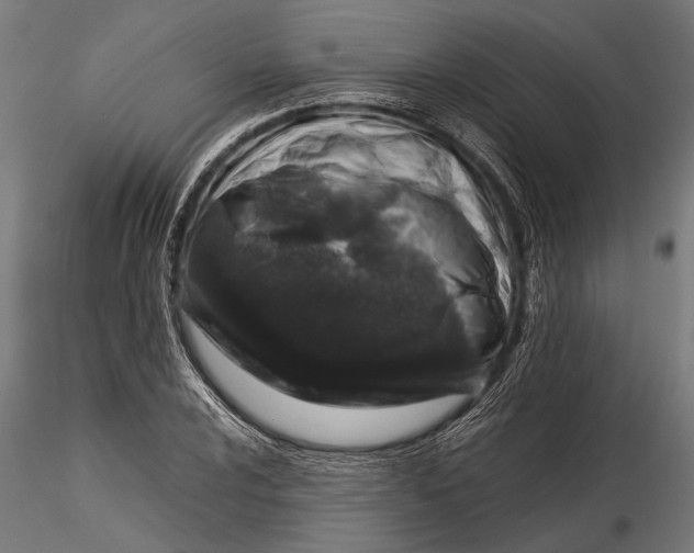 X0000116101024200912140952