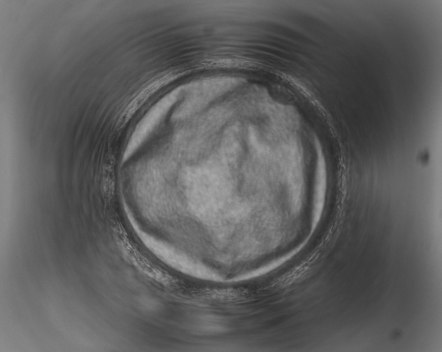 X0000116101025200912140952