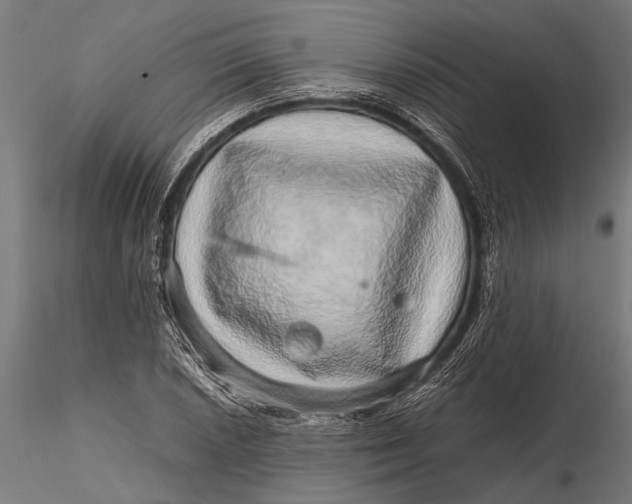 X0000116101026200912140952