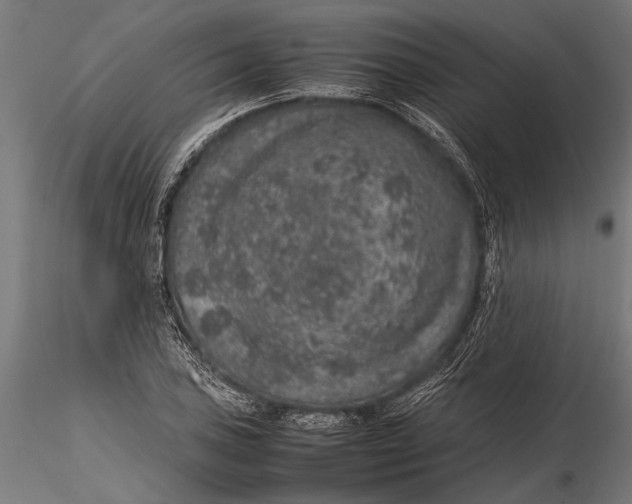 X0000116101027200912140952