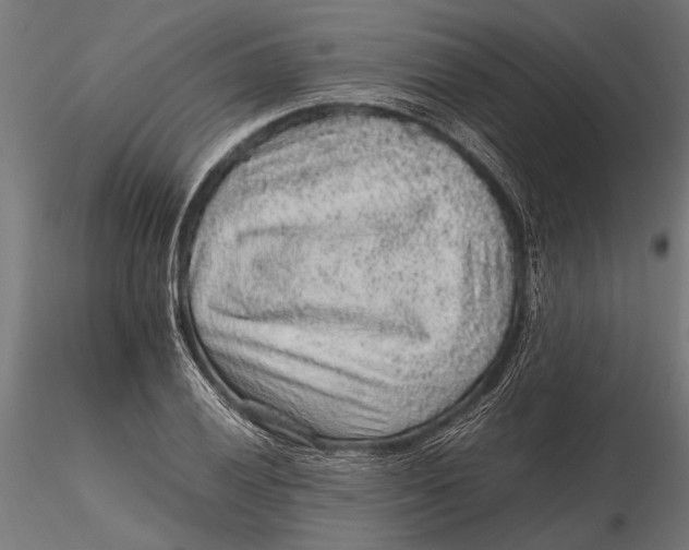 X0000116101028200912140952