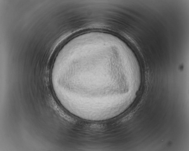 X0000116101029200912140952