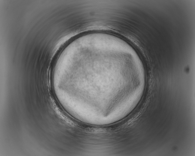 X0000116101030200912140952