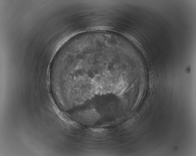 X0000116101031200912140952