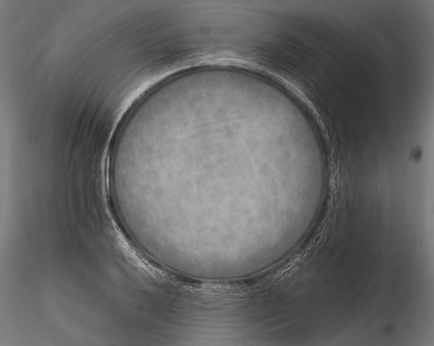 X0000116101032200912140952