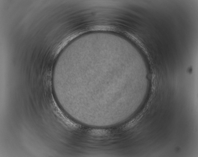 X0000116101033200912140952