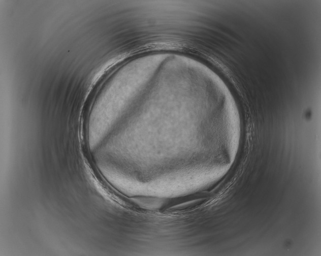 X0000116101034200912140952