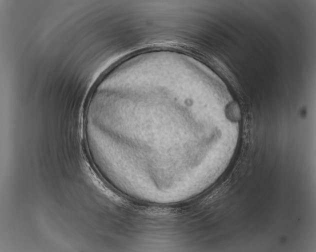 X0000116101036200912140952