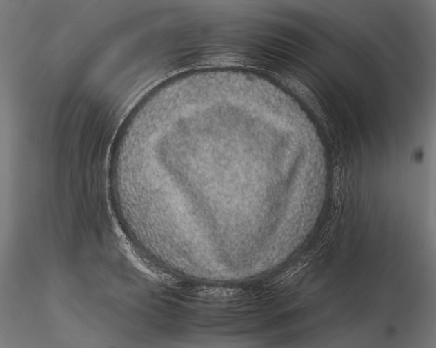 X0000116101039200912140952