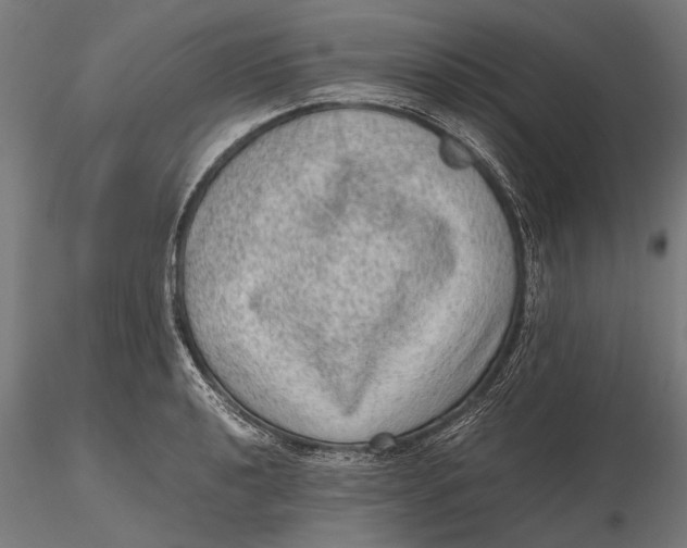 X0000116101040200912140952