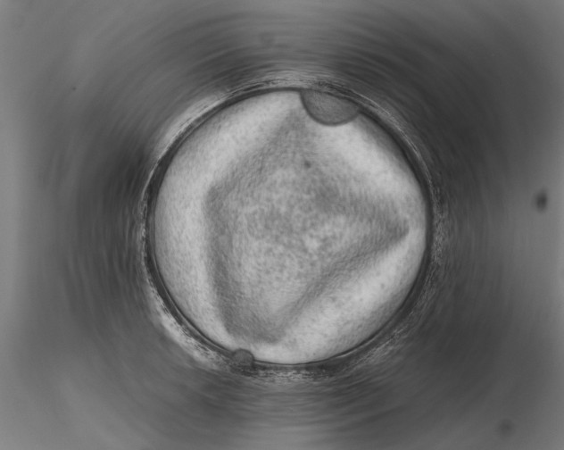 X0000116101042200912140952