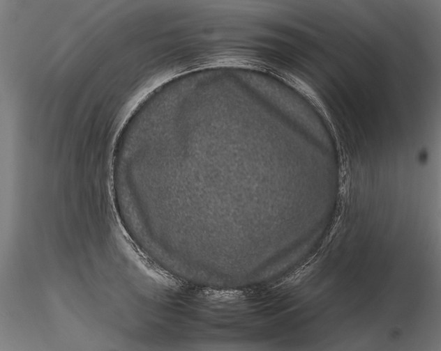 X0000116101043200912140952