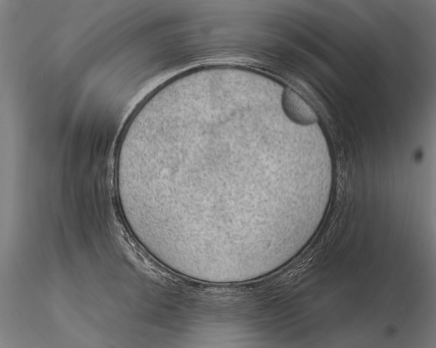 X0000116101044200912140952