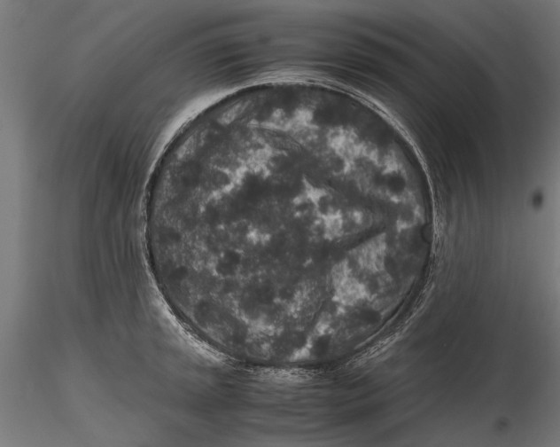 X0000116101045200912140952