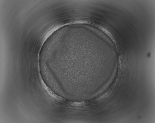 X0000116101047200912140952