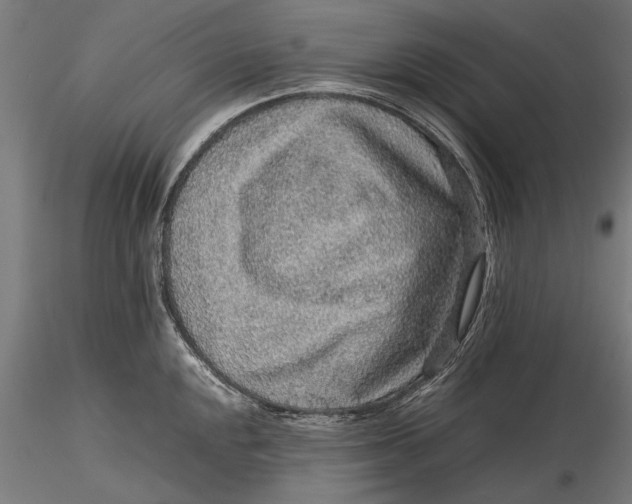 X0000116101048200912140952