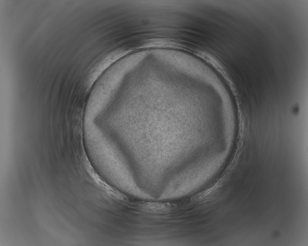 X0000116101049200912140952