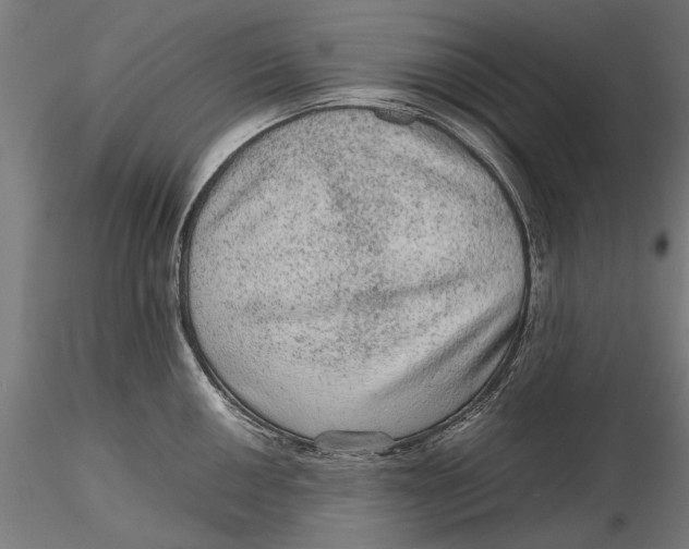 X0000116101050200912140952