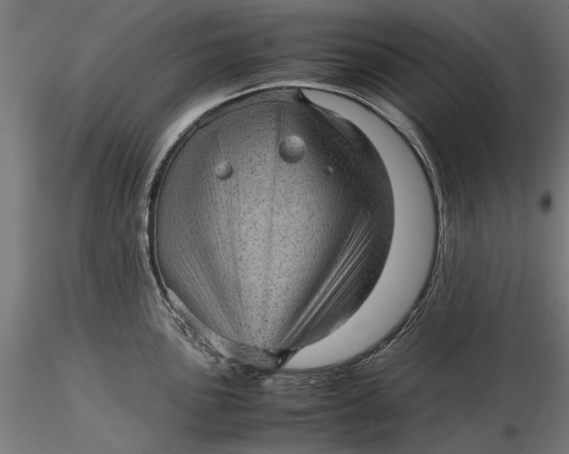 X0000116101051200912140952