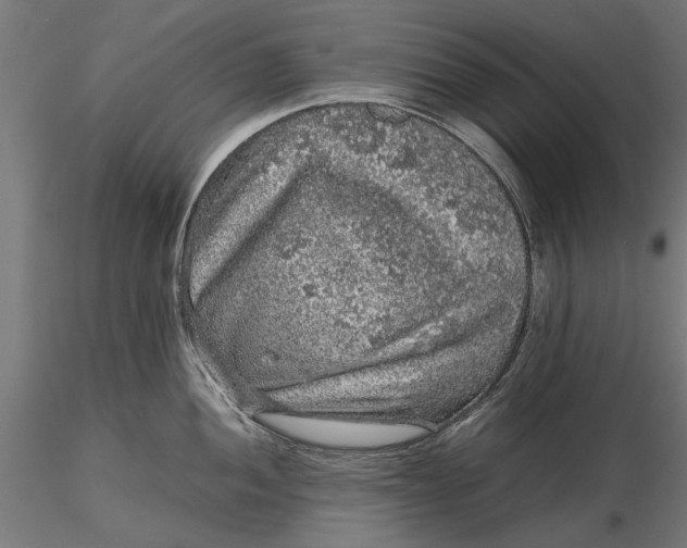 X0000116101052200912140952