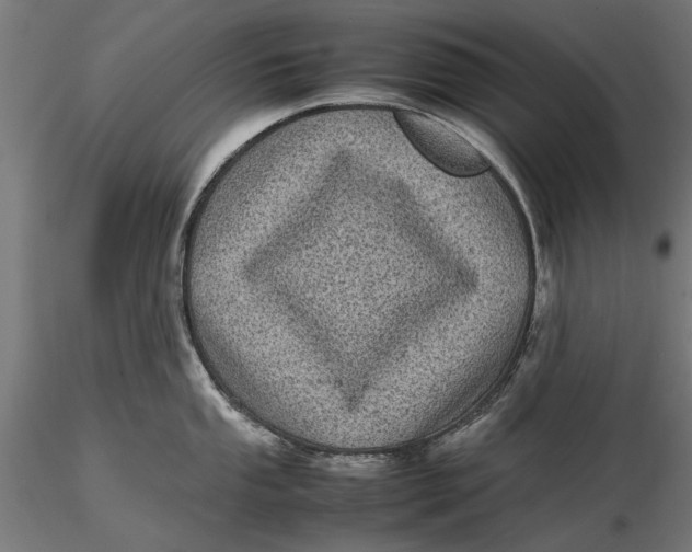 X0000116101053200912140952