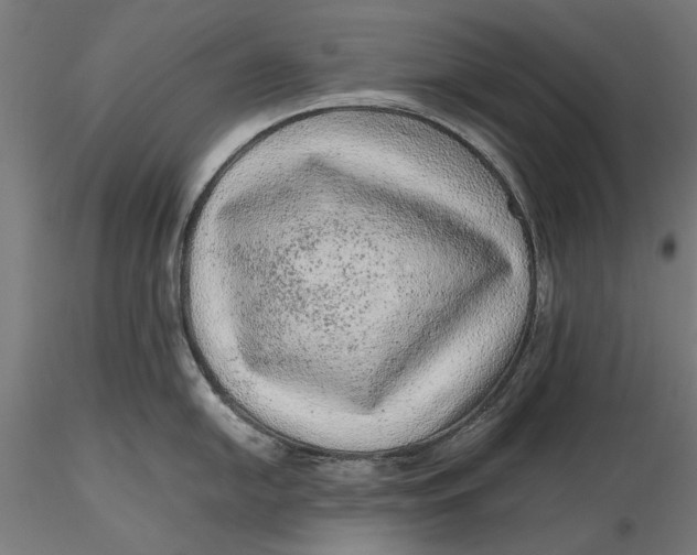 X0000116101054200912140952