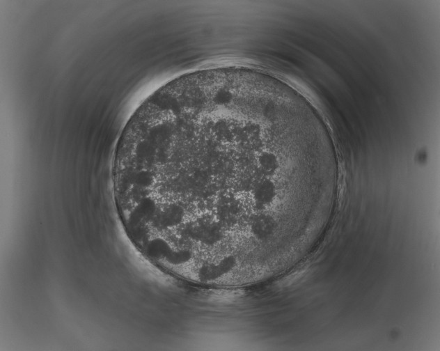 X0000116101055200912140952