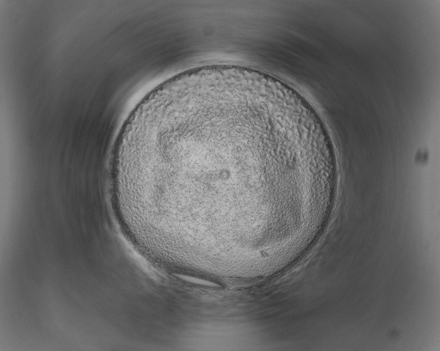 X0000116101056200912140952