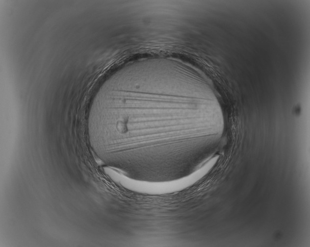 X0000116101057200912140952