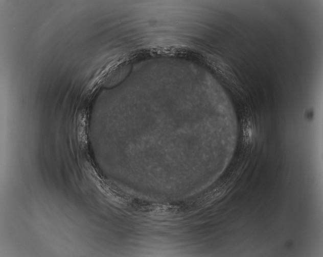 X0000116101060200912140952