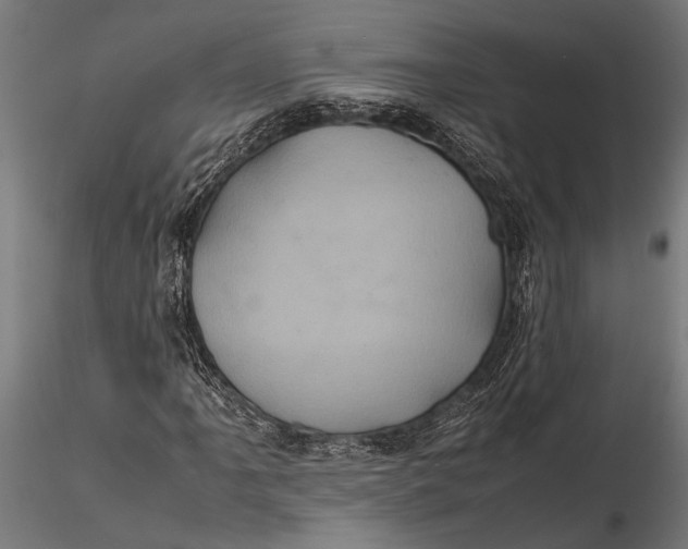 X0000116101061200912140952