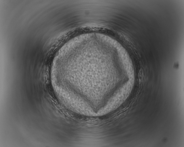 X0000116101062200912140952