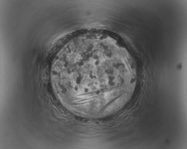 X0000116101063200912140952