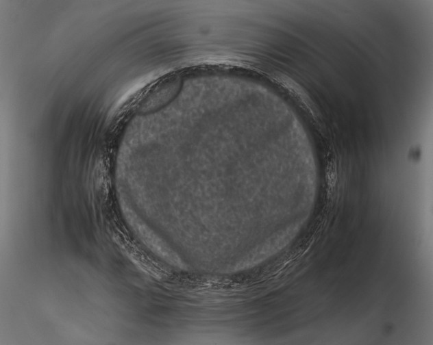 X0000116101064200912140952