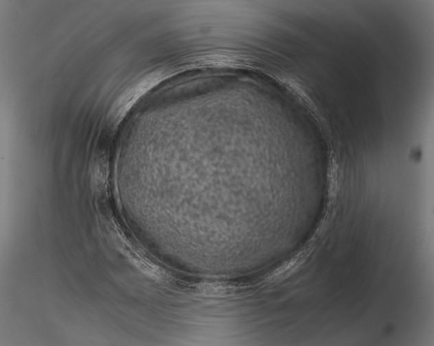 X0000116101065200912140952