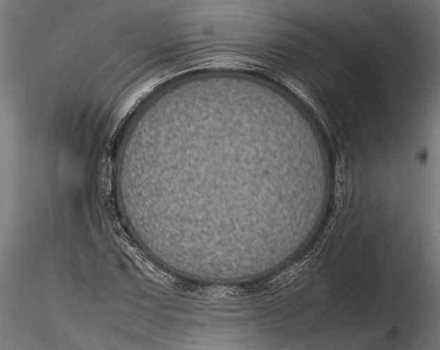 X0000116101067200912140952