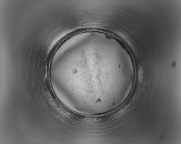 X0000116101069200912140951