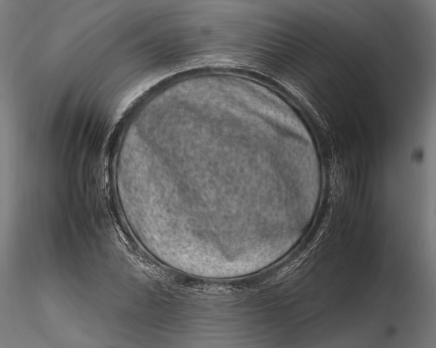 X0000116101070200912140951