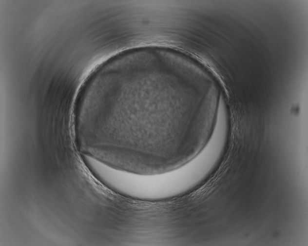 X0000116101072200912140951