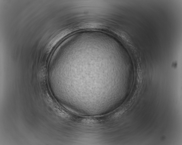 X0000116101073200912140951