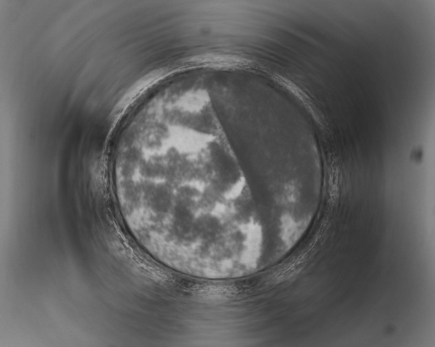 X0000116101074200912140951