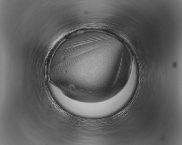 X0000116101075200912140951