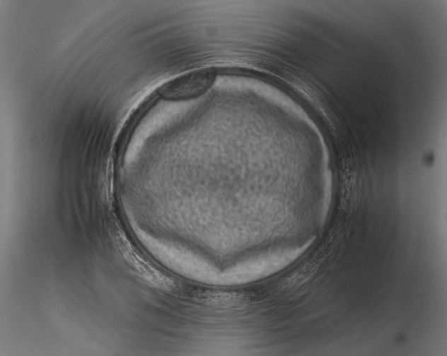 X0000116101076200912140951