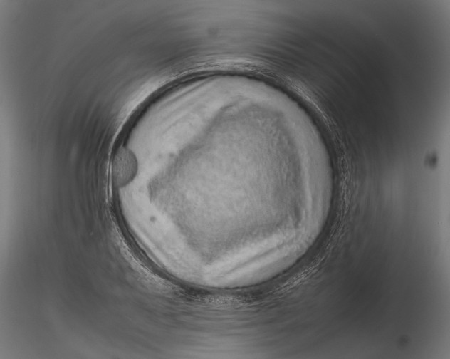 X0000116101079200912140951